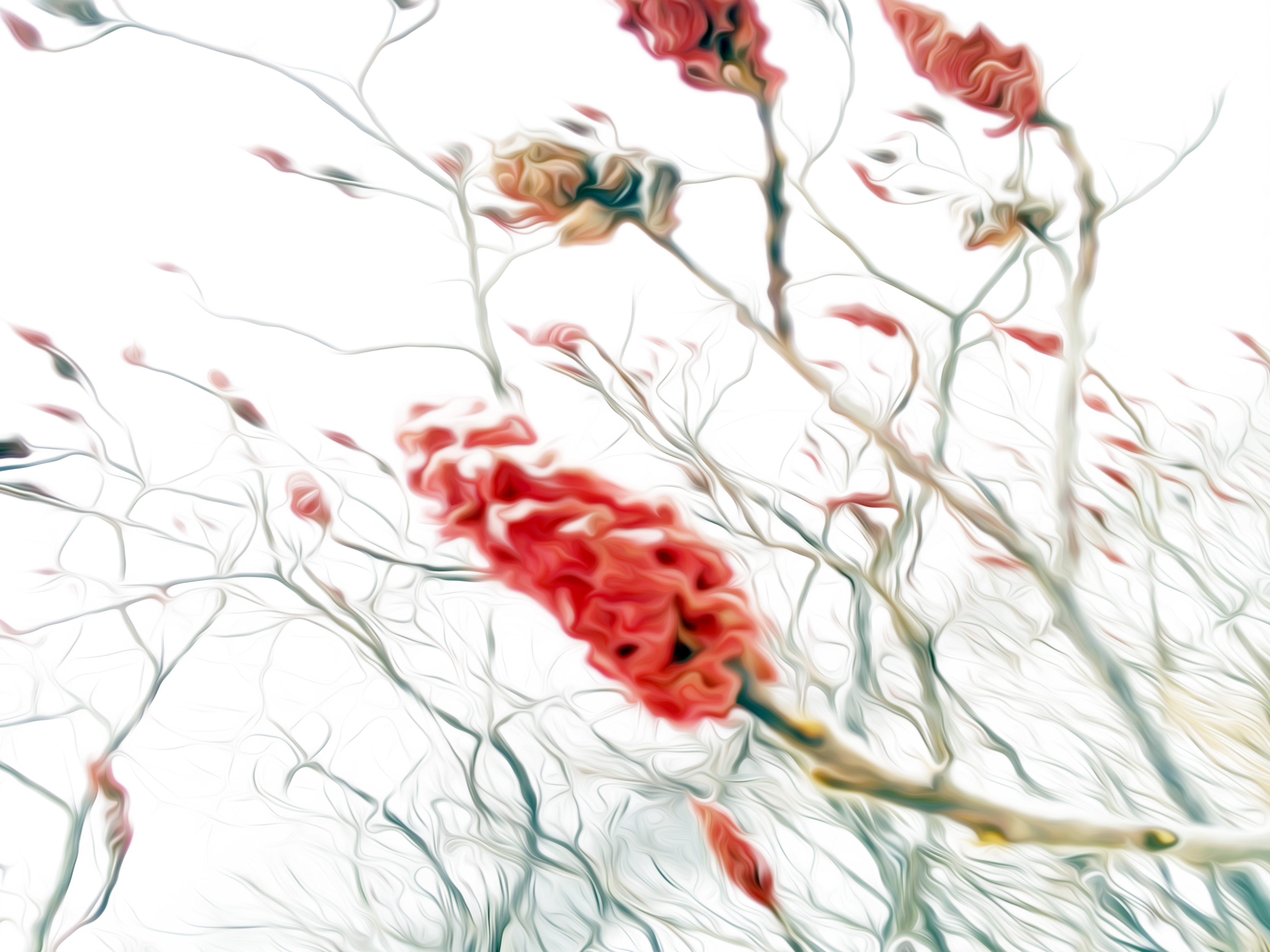 Winter Jewels - 2018 by Alex Bal