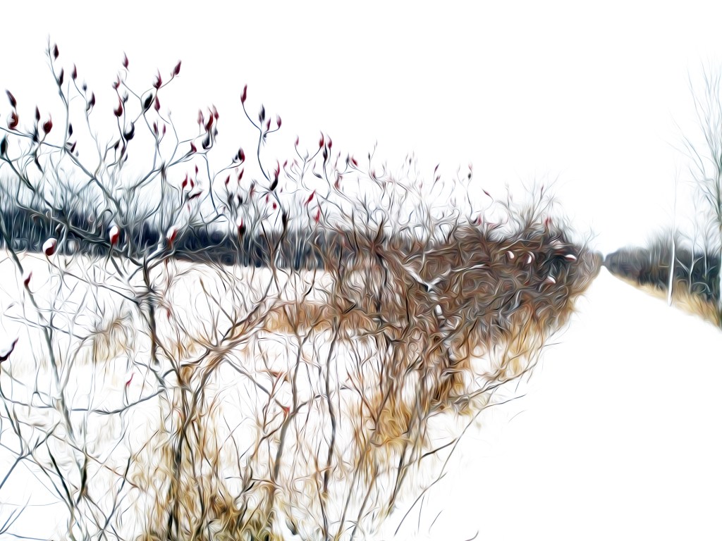 Winter Colors - 2018 by Alex Bal