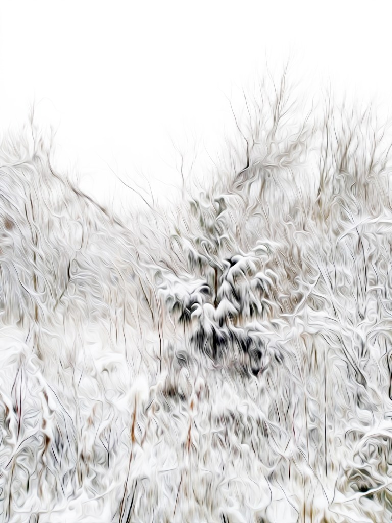 Snow Wisdoms - 2018 by Alex Bal