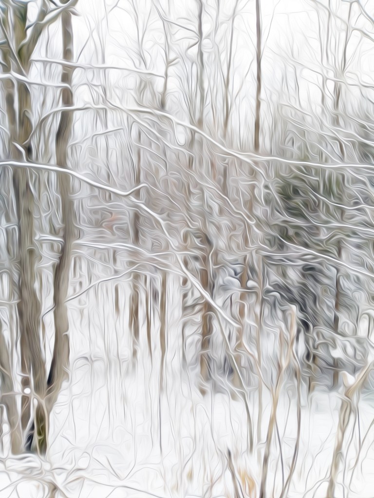 Winter Forest 2- 2018 by Alex Bal